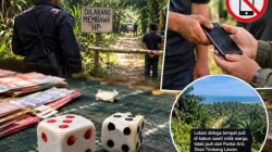 Gawat !!! Perjudian Dadu Besar-Kecil di Bahorok, Akses Lokasi Disebut Dijaga dan Pengunjung Dilarang Bawa HP