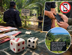Gawat !!! Perjudian Dadu Besar-Kecil di Bahorok, Akses Lokasi Disebut Dijaga dan Pengunjung Dilarang Bawa HP